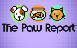 The Paw Report